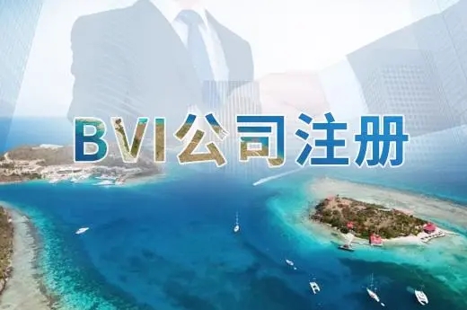 BVI公司